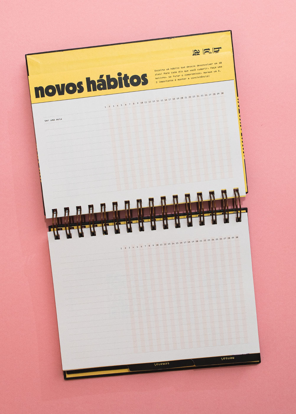 Desagenda Tô Sem Agenda (sem datas) - Lote 3