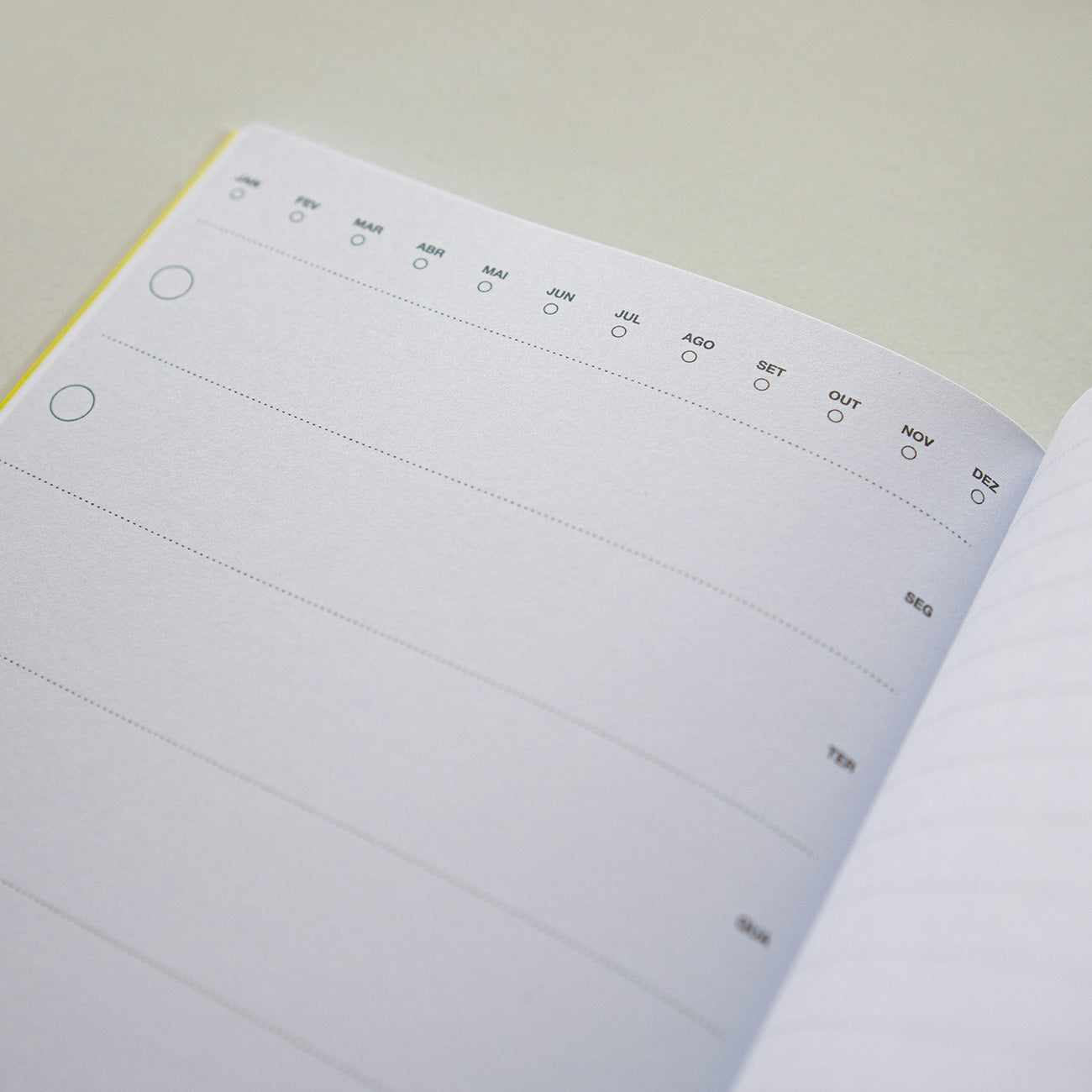 The Nice Planner™